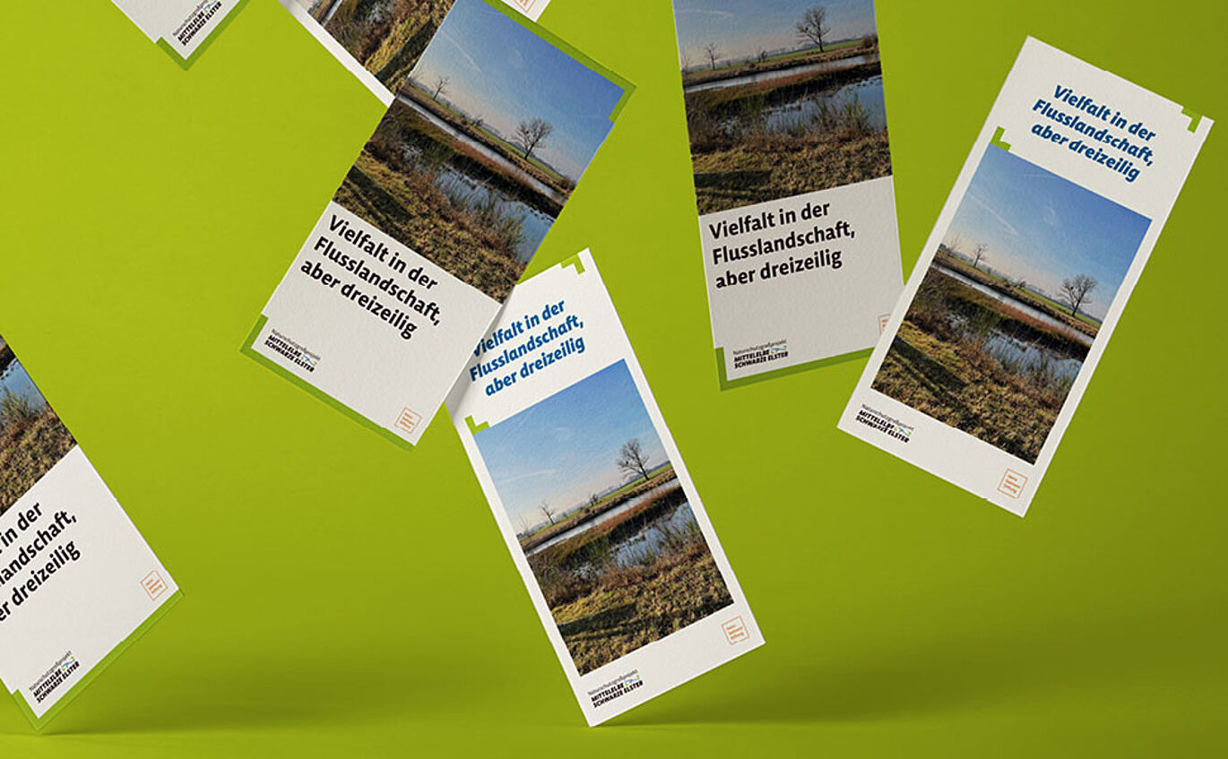 Mockup mehrerer Flyer des Naturschutzprojektes in unterschiedlichen Ausführungen.