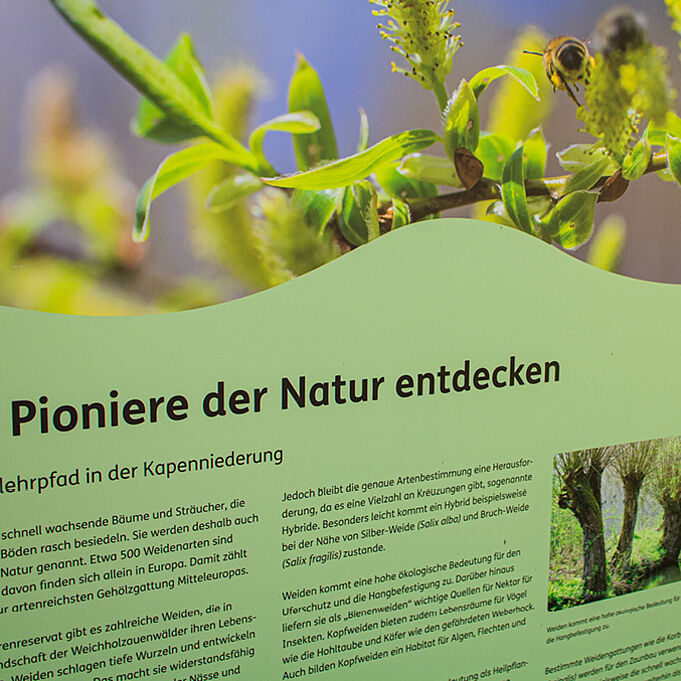 Close-up of an information sign provides information about the pioneers of nature