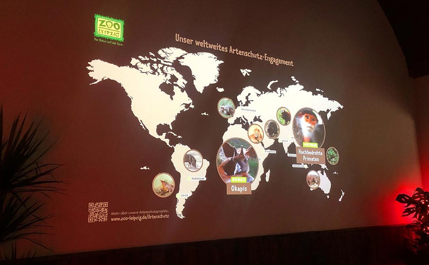 Animated world map via a projector