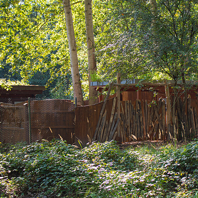 Entrance area of the beaver enclosure