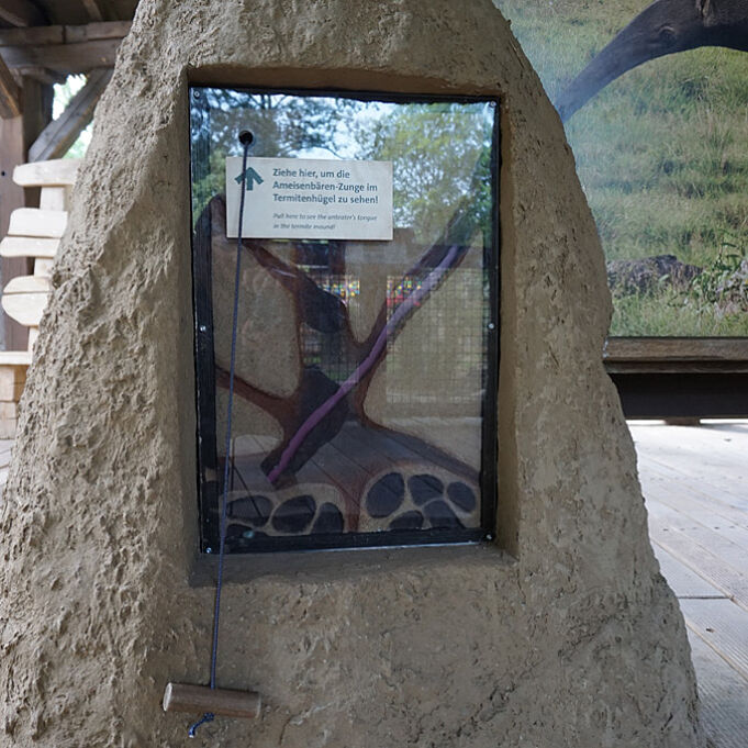 Realistisch gestalteter Termitenhügel auf Kinderhöhe als Teil der Ausstellungsgestaltung 