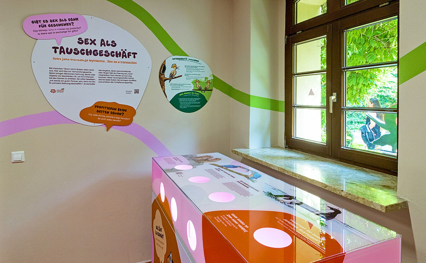 Foto der Lernstation "Sex als Tauschgeschäft". Rechts steht ein Schaukasten mit Eiblickmöglichkeiten ins Innere und Informationstexten darauf.