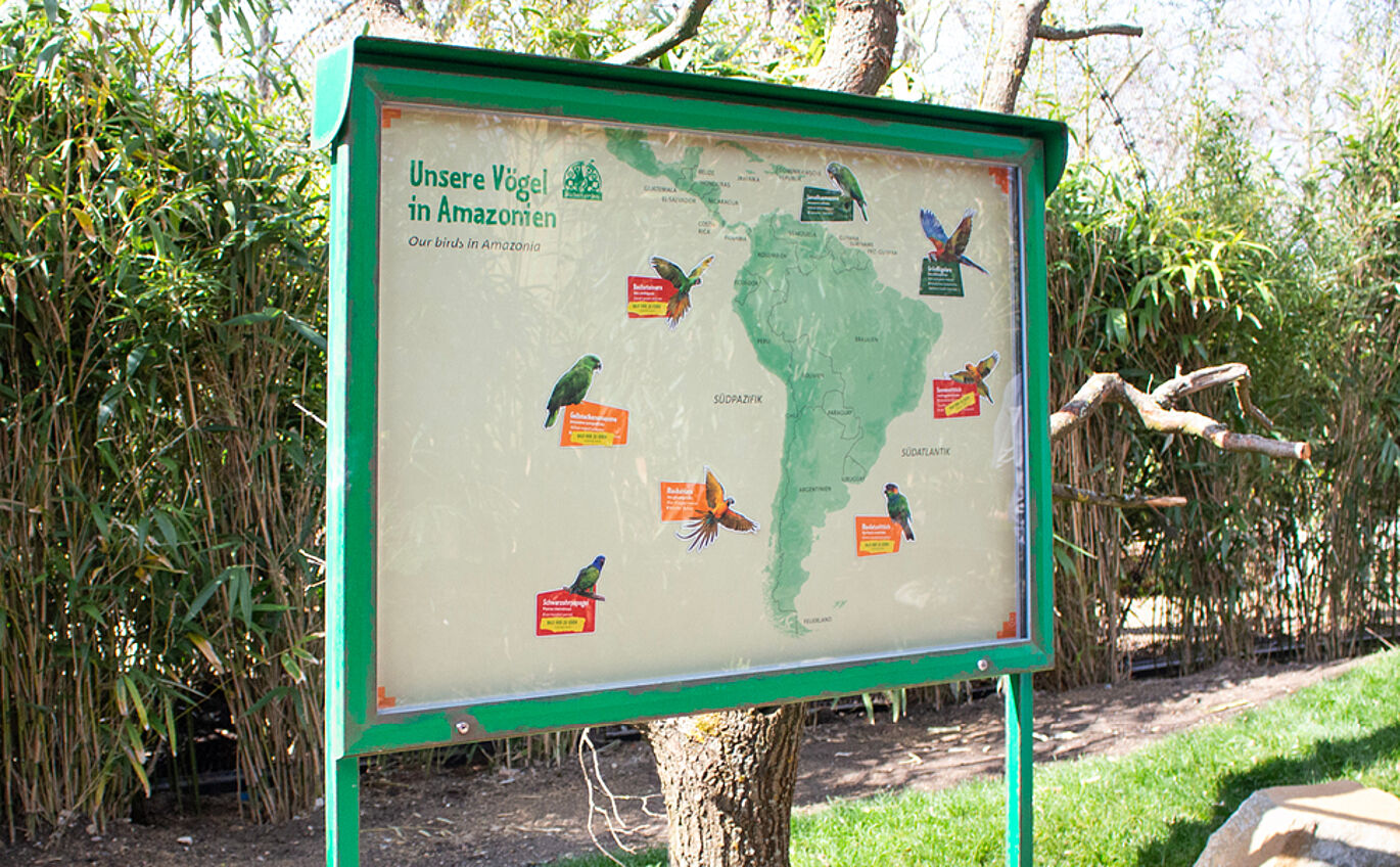 The educational exhibit in the form of a map showing the distribution of birds in the Amazon. Colourful magnets representing the various birds are clearly visible scattered across the map.