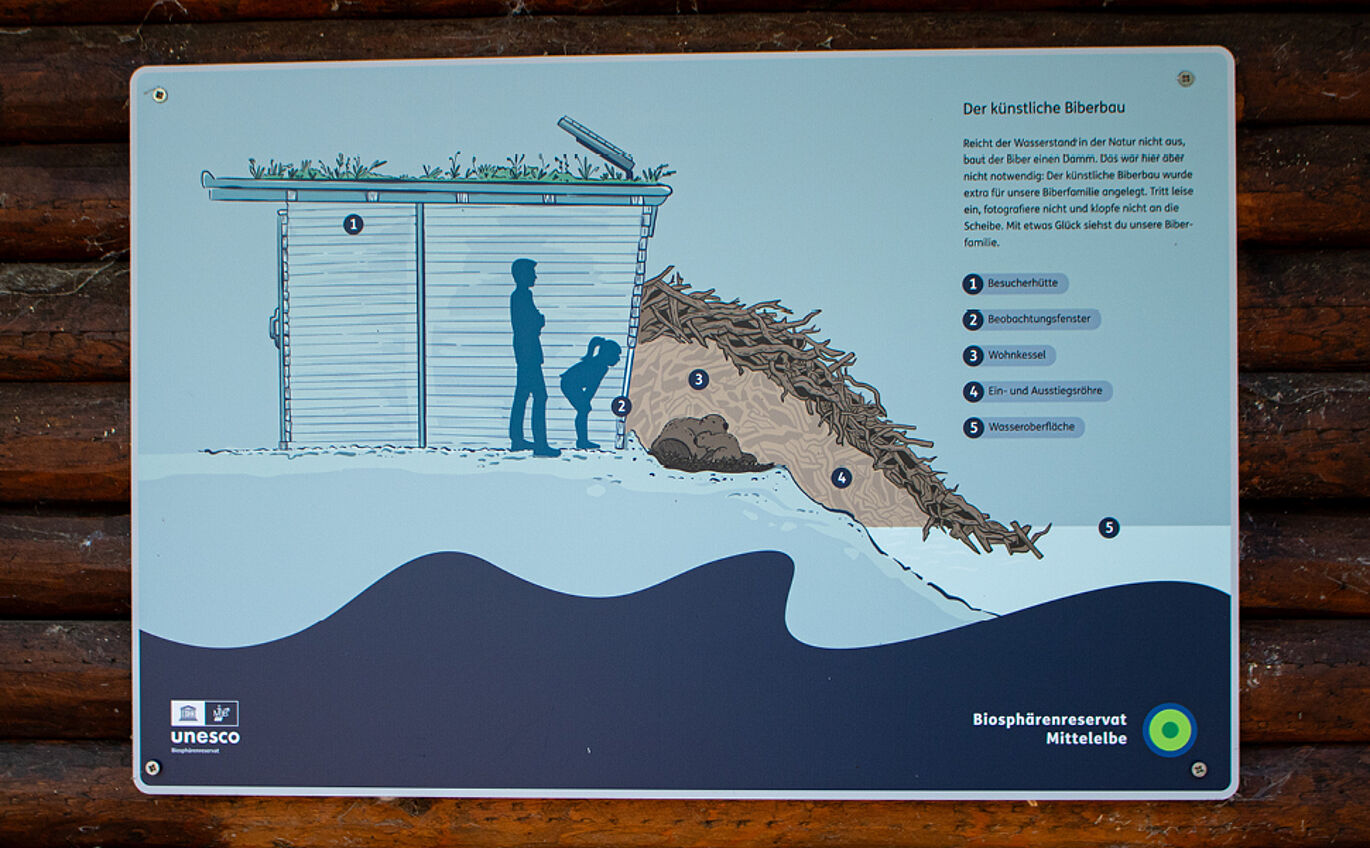 Small information board explains the artificial beaver lodge