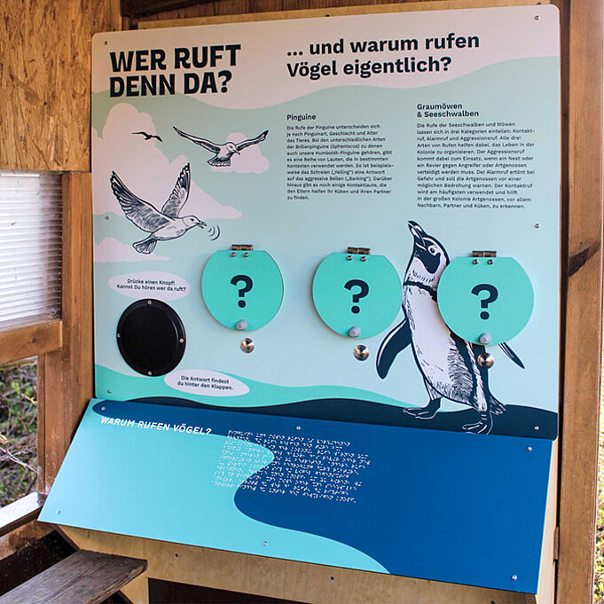 Informationstafel zu den unterschiedlichen Lauten der Vögel und Pinguine. Auf der Tafel sind drei runde Klappen angebracht, unter denen die Lösungen jeweils zum Vorschein kommen.