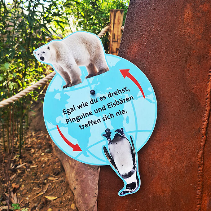 Foto eines Drehelements der Vermittlungsstation. Oben ist ein Eisbär und unten ein Pinguin. In der Mitte steht "Egal wie du es drehst, Pinguine und Eisbären treffen sich nie.".