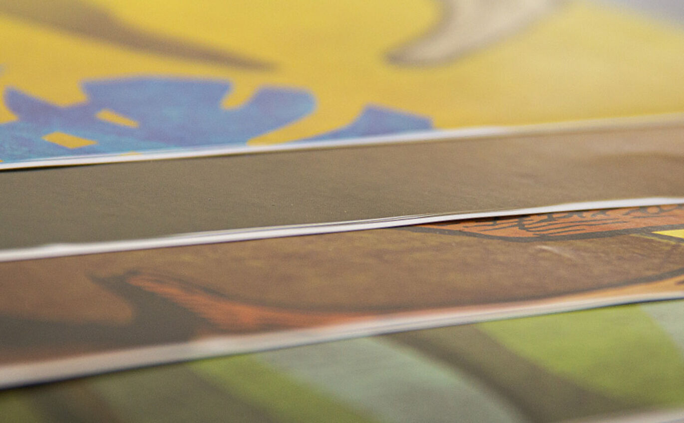 Detailaufnahme der vier Zooplakate