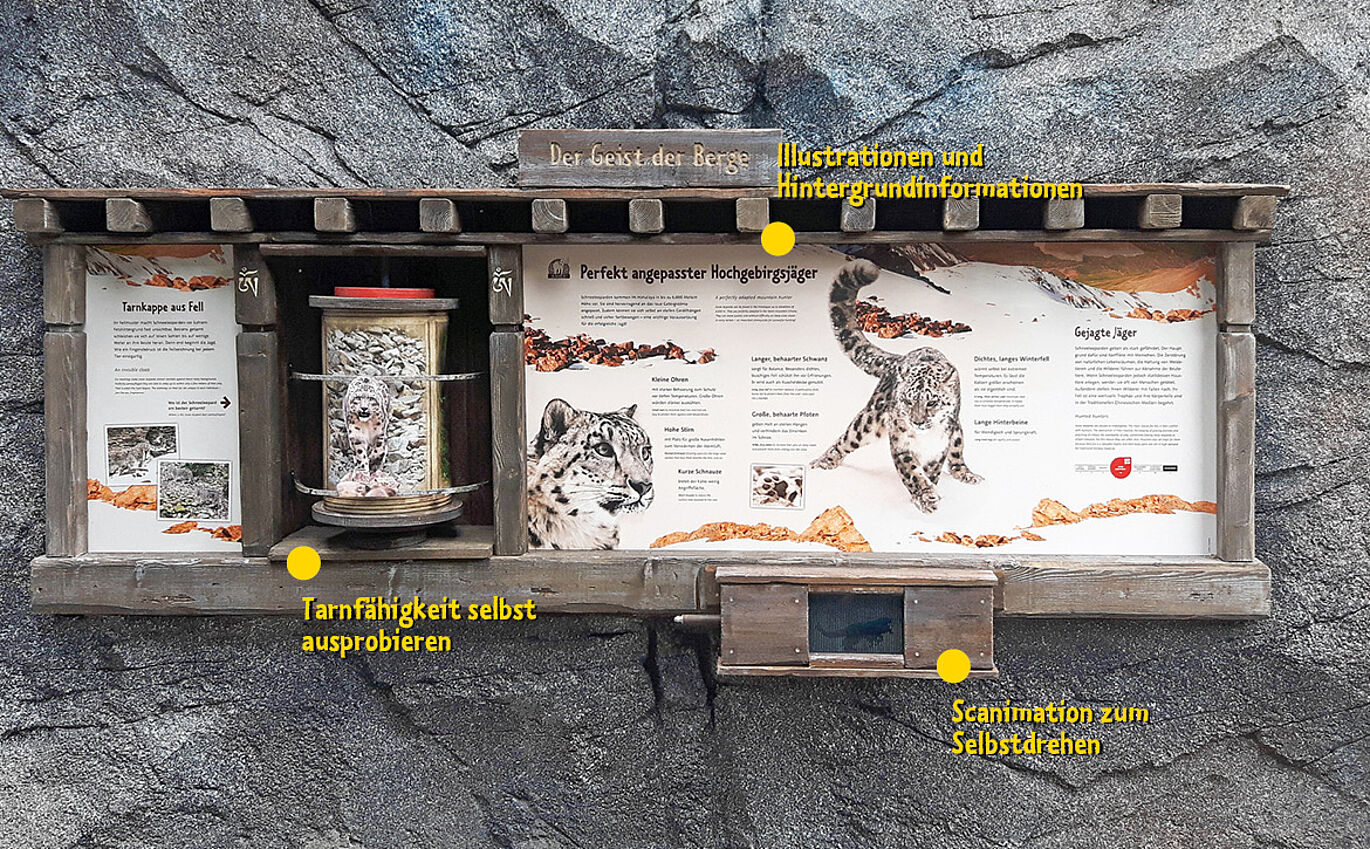 scenographic learning station at Leipzig Zoo shows snow leopards 