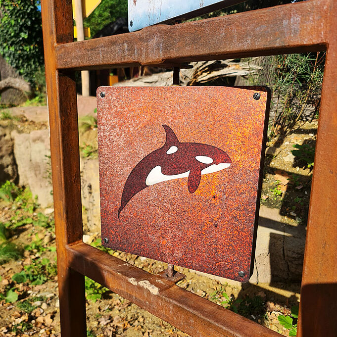 Nahaufnahme einer der Tafeln auf der Vermittlungsstation. Es ist ein Orca zu erkennen. Die Tafel lässt sich drehen.