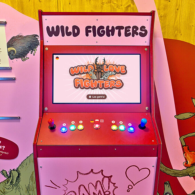 Foto des Spielautomaten "Wild Fighters". Der Automat ist rosa-rot und erinnert an einen Spielautomaten aus den 90ern mit bunt leuchtenden Knöpfen und Joysticks.