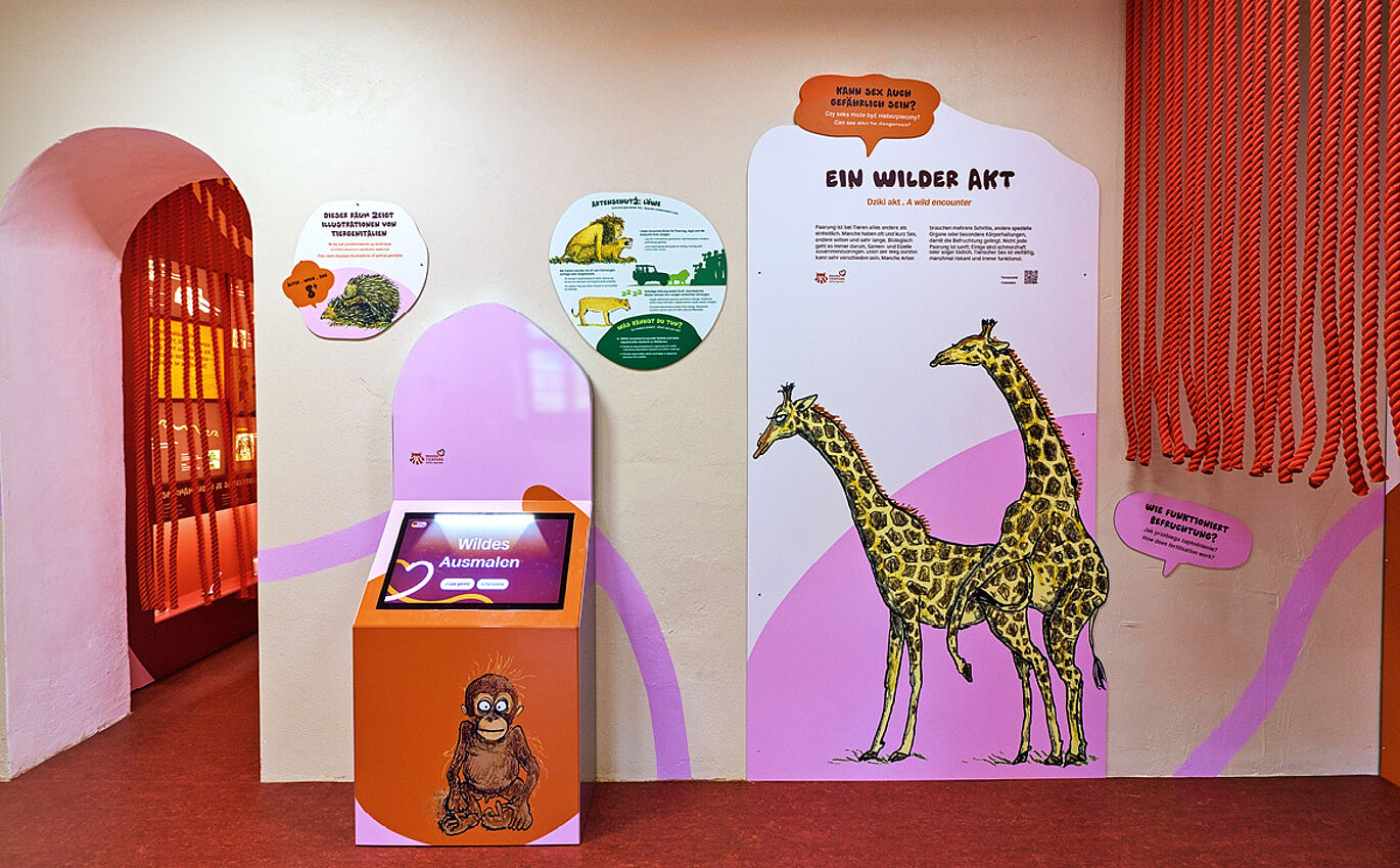 Foto einer Vermittlungsstation. Rechts ist die Illustration zweier Giraffen zu sehen, die im Paarungsakt sind. Darüber steht "Ein wilder Akt". Links daneben steht eine Videostation zum Ausmalen.
