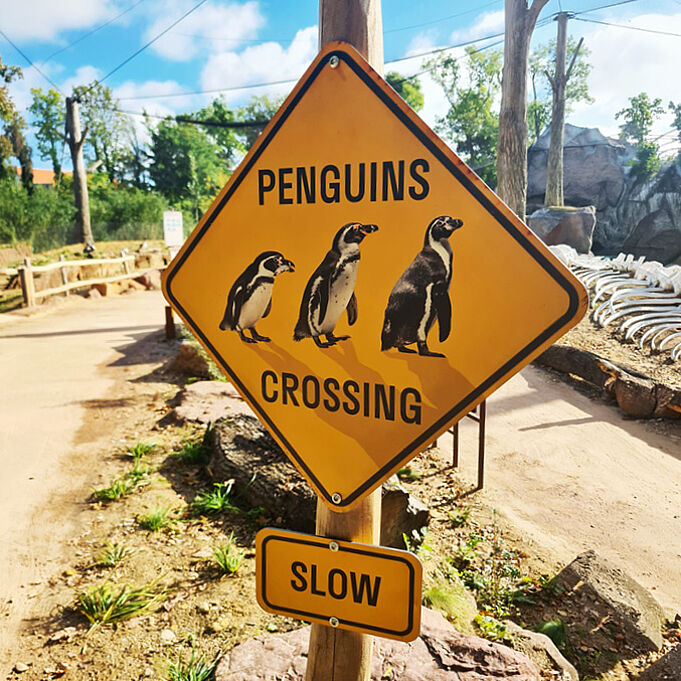 Foto eines gelben Straßenschilds mit drei Pinguin darauf und der Schrift "Pinguins crossing". Darunter steht "slow".