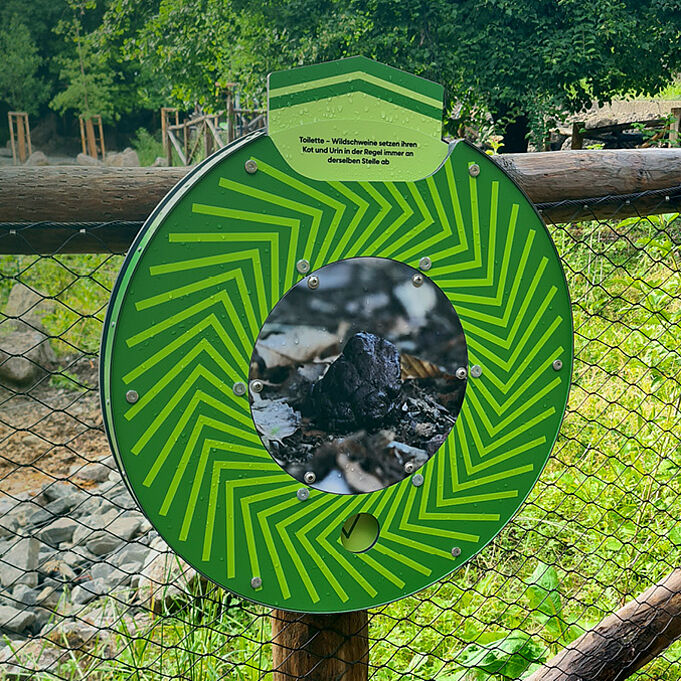 Foto eines grünen Drehrads. An Aussparungen auf dem Rad werden Informationen sichtbar.