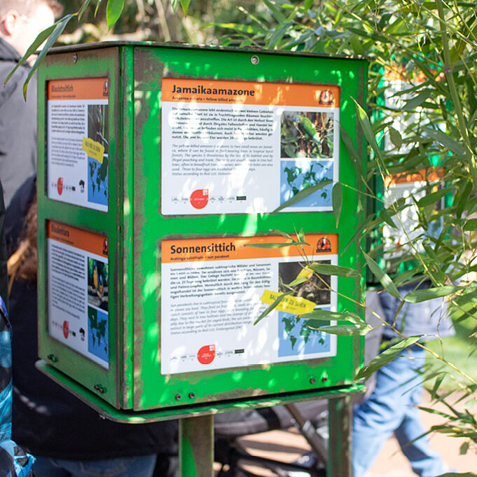 Photo of a variable enclosure sign: a green rotating display case with information panels featuring two bird species per side.