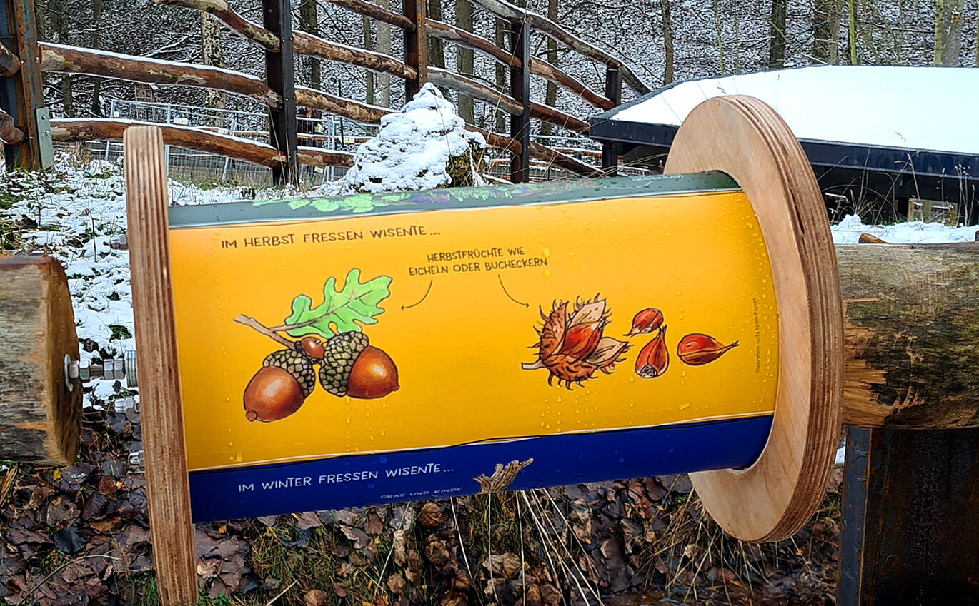 Horizontal rotating body in the fence of the enclosure provides information about the bison's diet