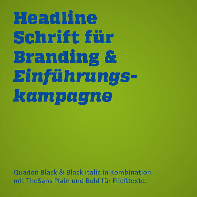 Blue font on green background in the corporate design of cityflitzer 