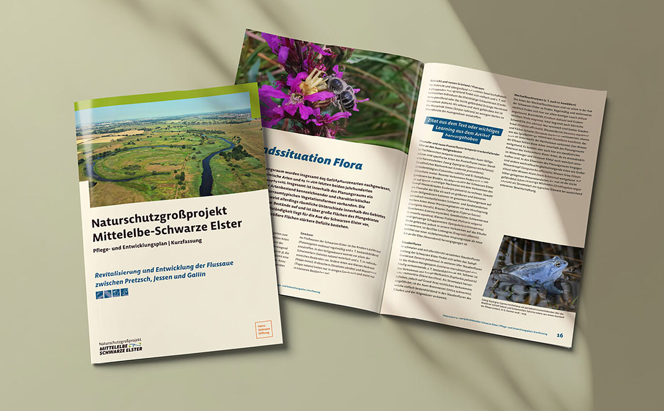 Mockup eines Katalogs zum Naturschutzgroßprojekt Mittelelbe-Schwarze Elster.