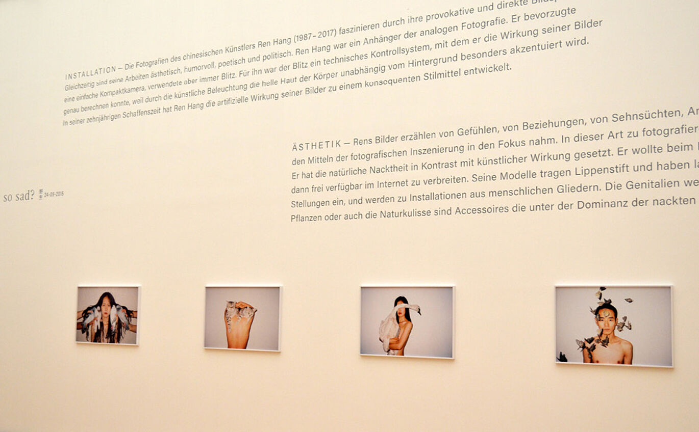 Begleittexte In die Wandabwicklung integrierte typografische Begleittexte als Teil des Ausstellungsdesigns und der vier Exponate von Ren Hang