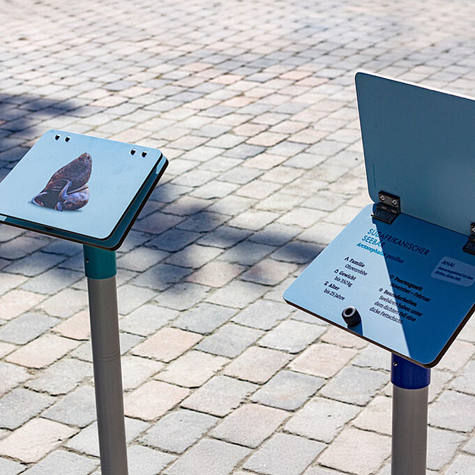 Nahaufnahme der aufklappbaren Infotafeln zu den unterschiedlichen Robbenarten.