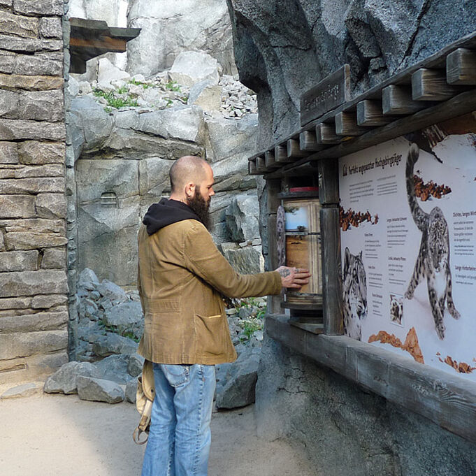 Man operates element which is part of snow leopard learning station