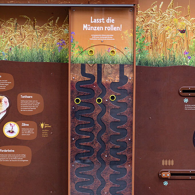 Der interaktive Münzspender zur Unterstützung der Feldhamsterzucht im Zoo Leipzig.