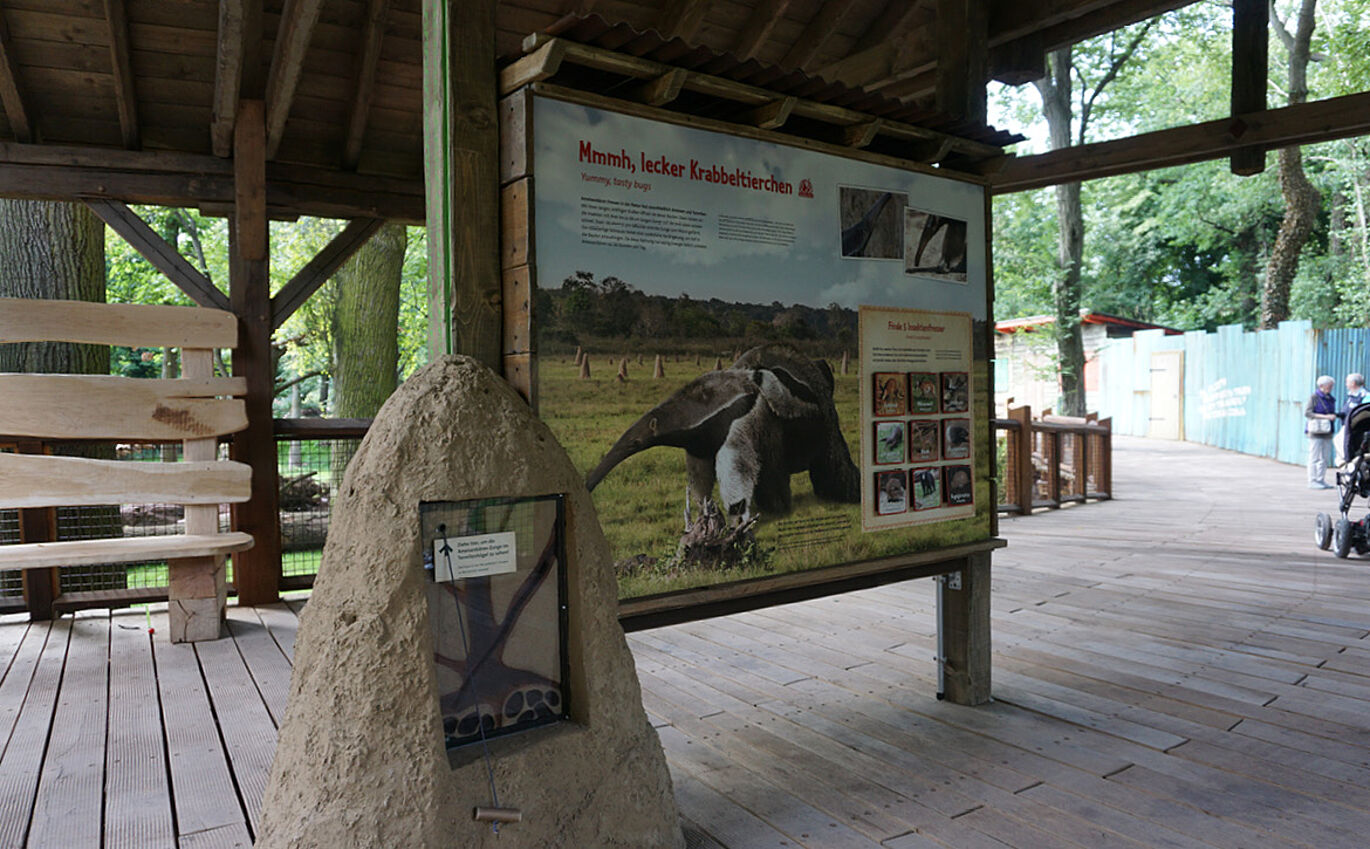 scenographic infographic at Leipzig Zoo shows an anteater foraging for food