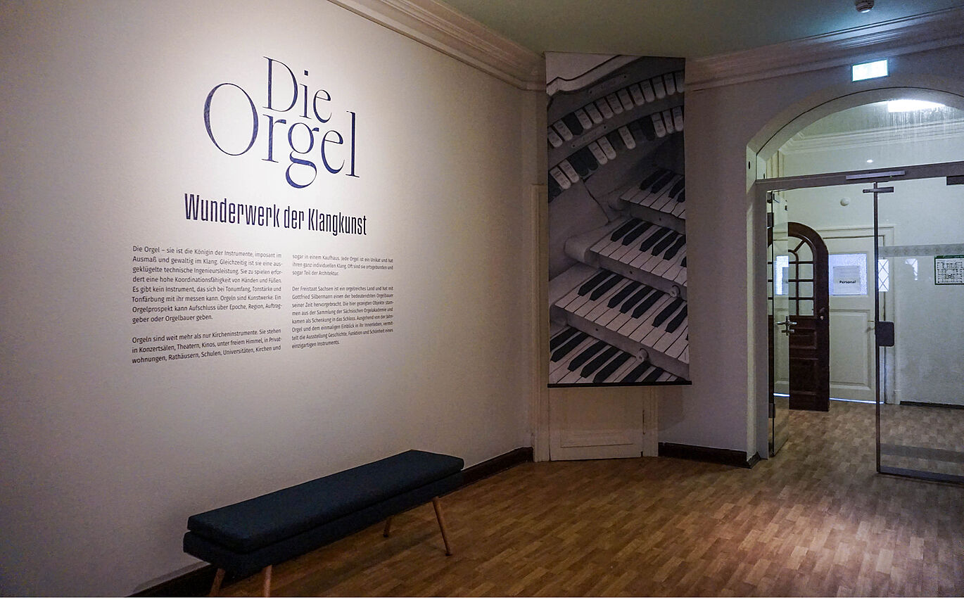 Organ infographic with exhibition text