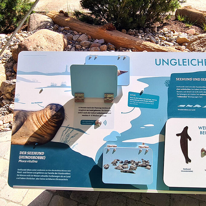 Nahaufnahme der Lernstation "ungleiche Verwandte". Eine Klappe ist hochgeklappt und eine Hörstation kommt darunter zum Vorschein.