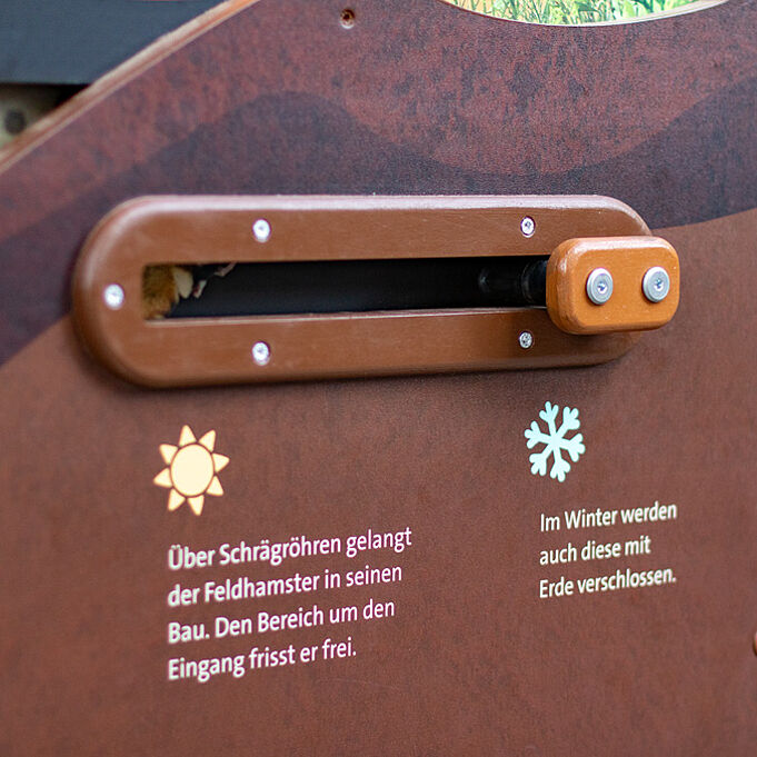 Nahaufnahme des Schiebereglers der die Informationen zwischen Winter- und Sommerbau des Hamsters vermittelt.