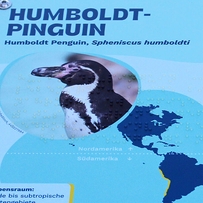 Nahaufnahme der Braillenschrift auf den Informationstafeln. Es ist deutlich zu erkennen, dass die Brialleschrift unter der Grafik hervorkommt.