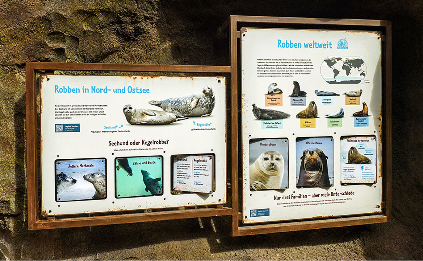 Foto der Vermittlungsstation "Robben in Nord- und Ostsee" und "Robben weltweit". Es sind insgesamt sechs Drehelemente in den zwei Informationstafeln eingelassen, auf denen auf der Vorderseite bestimmte Robbenarten und auf der Rückseite die jeweiligen Fakten zu dieser angegeben sind.