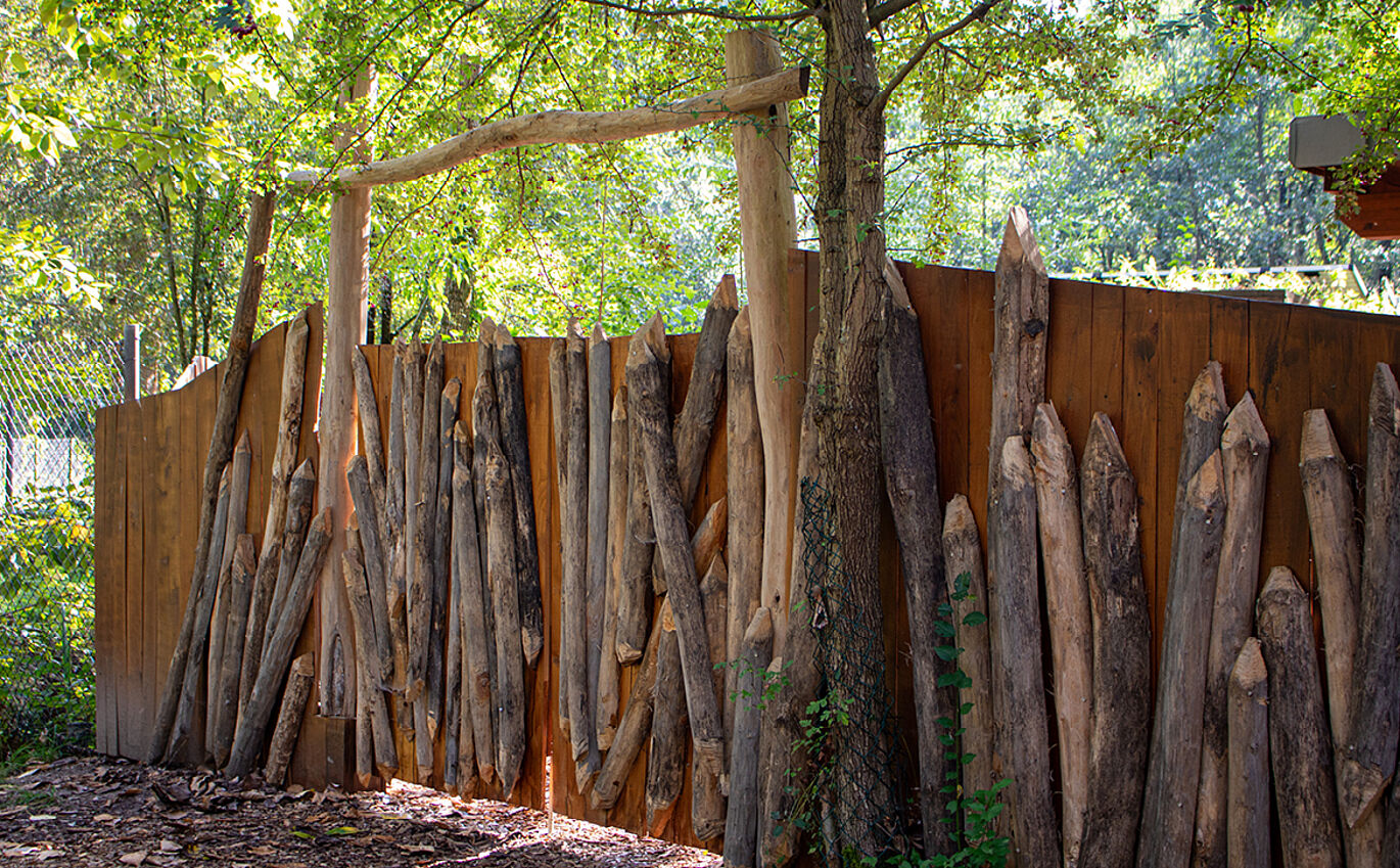 Wooden fence of the beaver area