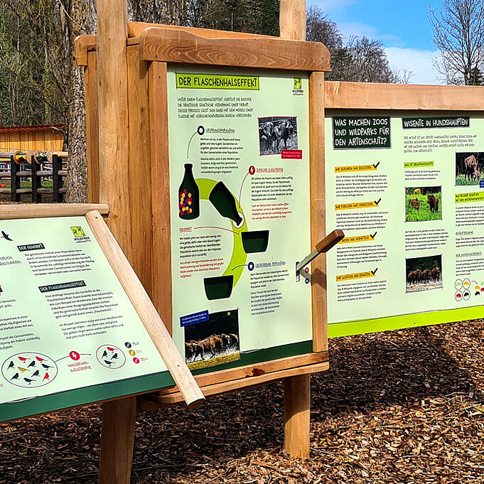 Learning station on the bottleneck effect