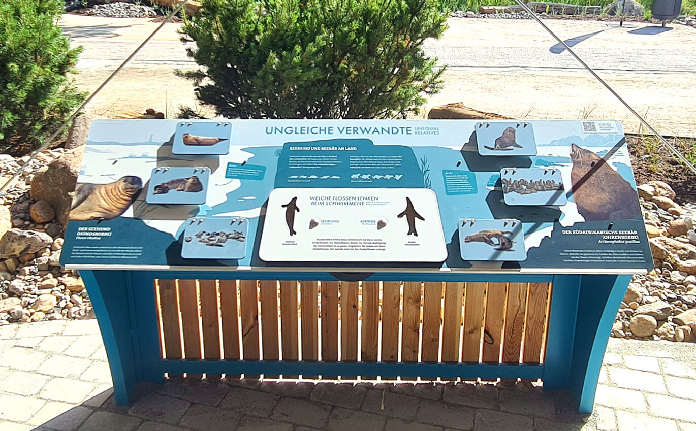 Lernstation zu "ungleiche Verwandte". Aufklappbare Schilder sind zu erkennen.