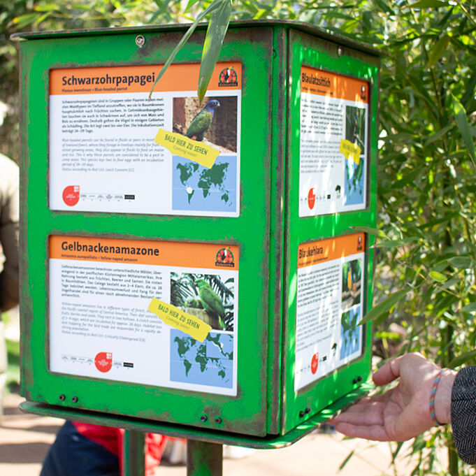 Photo of a variable enclosure sign: a green rotating display case with information panels featuring two bird species per side.