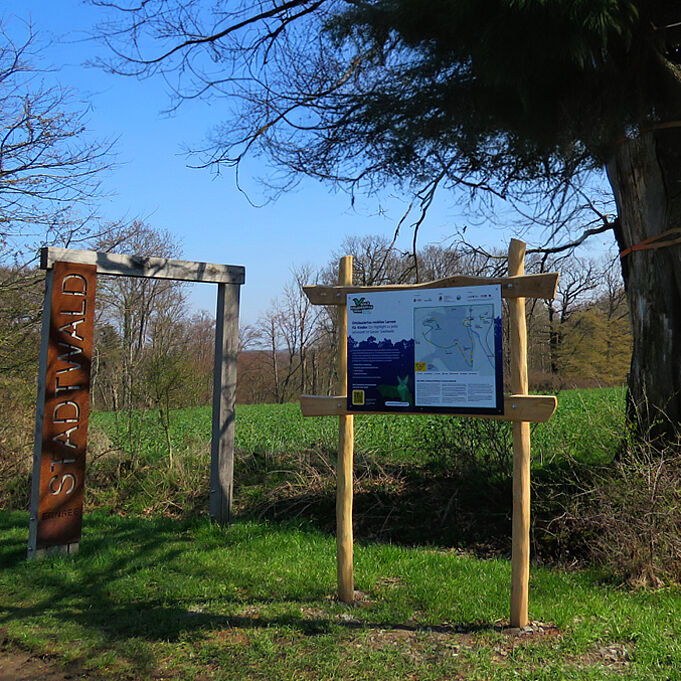 Infotafel im Wald