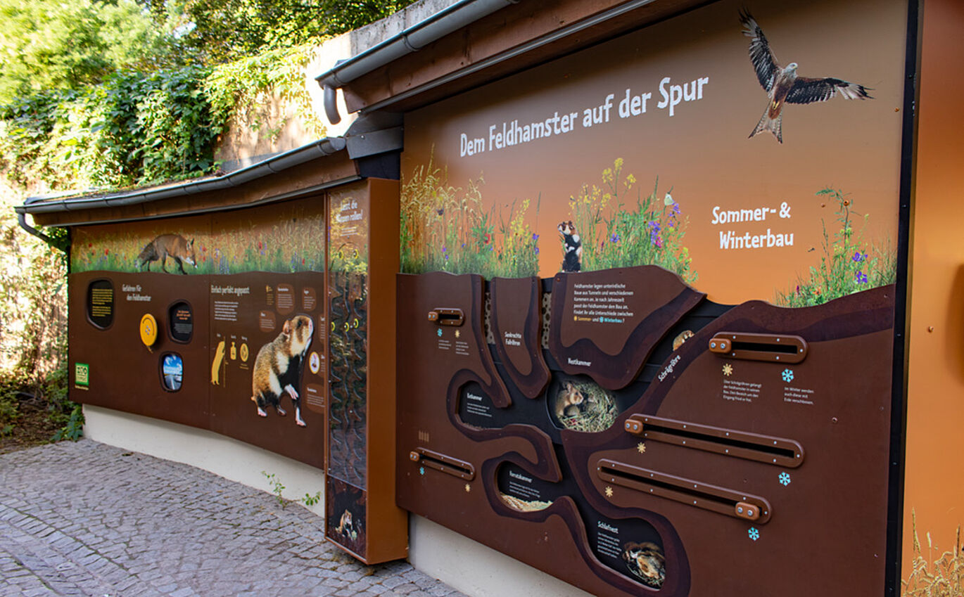 Realbild von der rechten Seite auf die Hamsterwand.