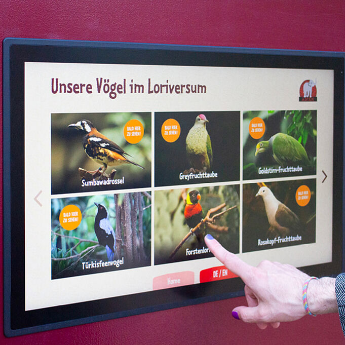 A close-up of the same media station featuring the bird species can be seen. A hand enters the frame from the right and taps one of the bird profiles on display.
