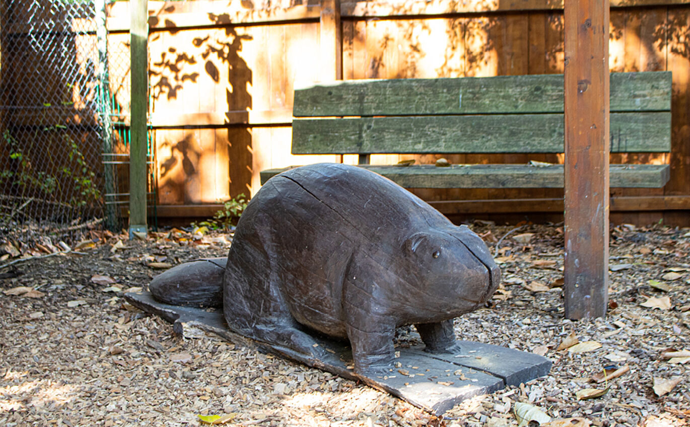 Life-size wooden figure of a beaver