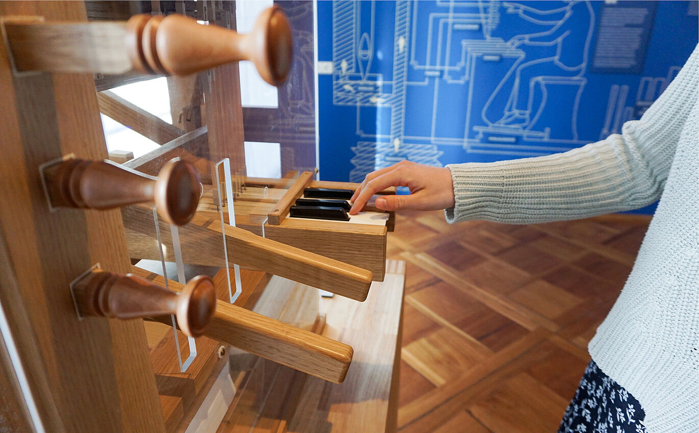 Interactive organ exhibit after design preparation