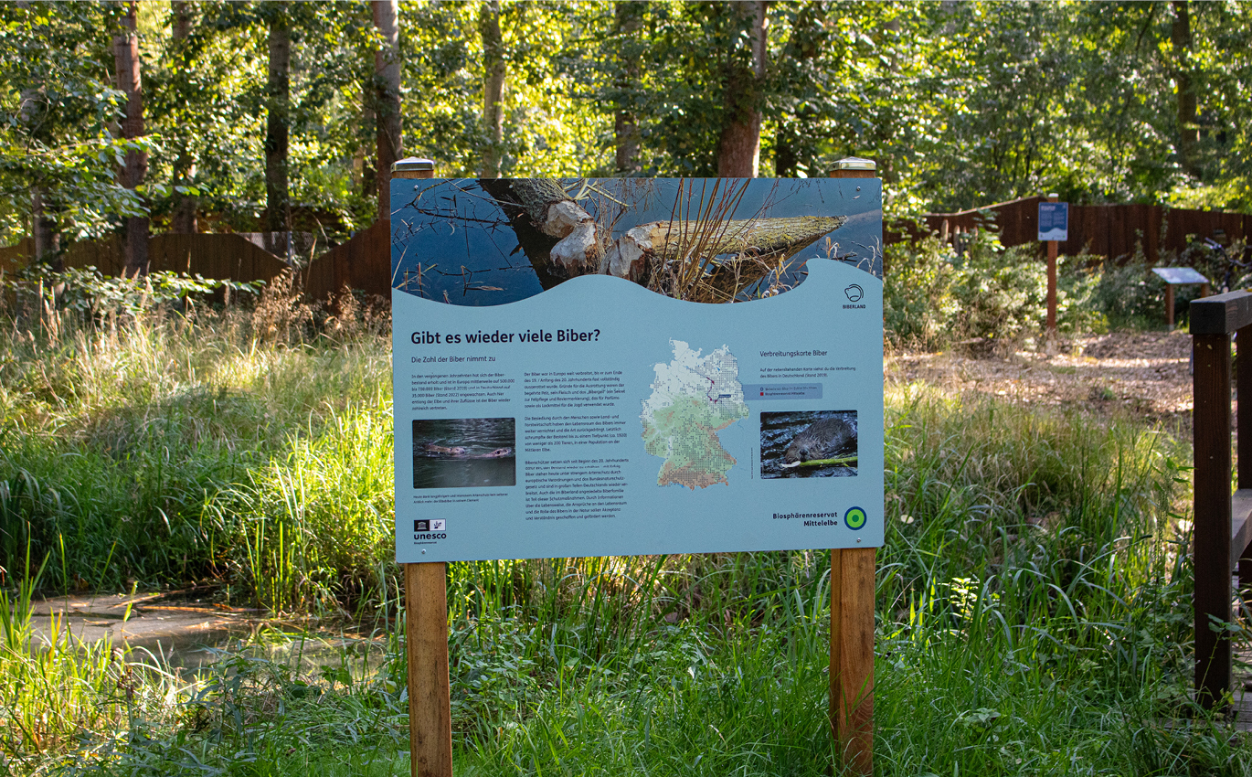 Infotafel zur Biberpopulation im Wald 