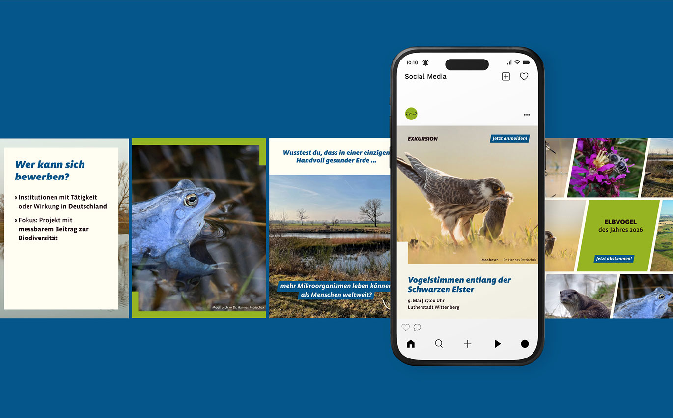 Vorlagen für Social Media Beiträge des Naturschutzgroßprojektes.