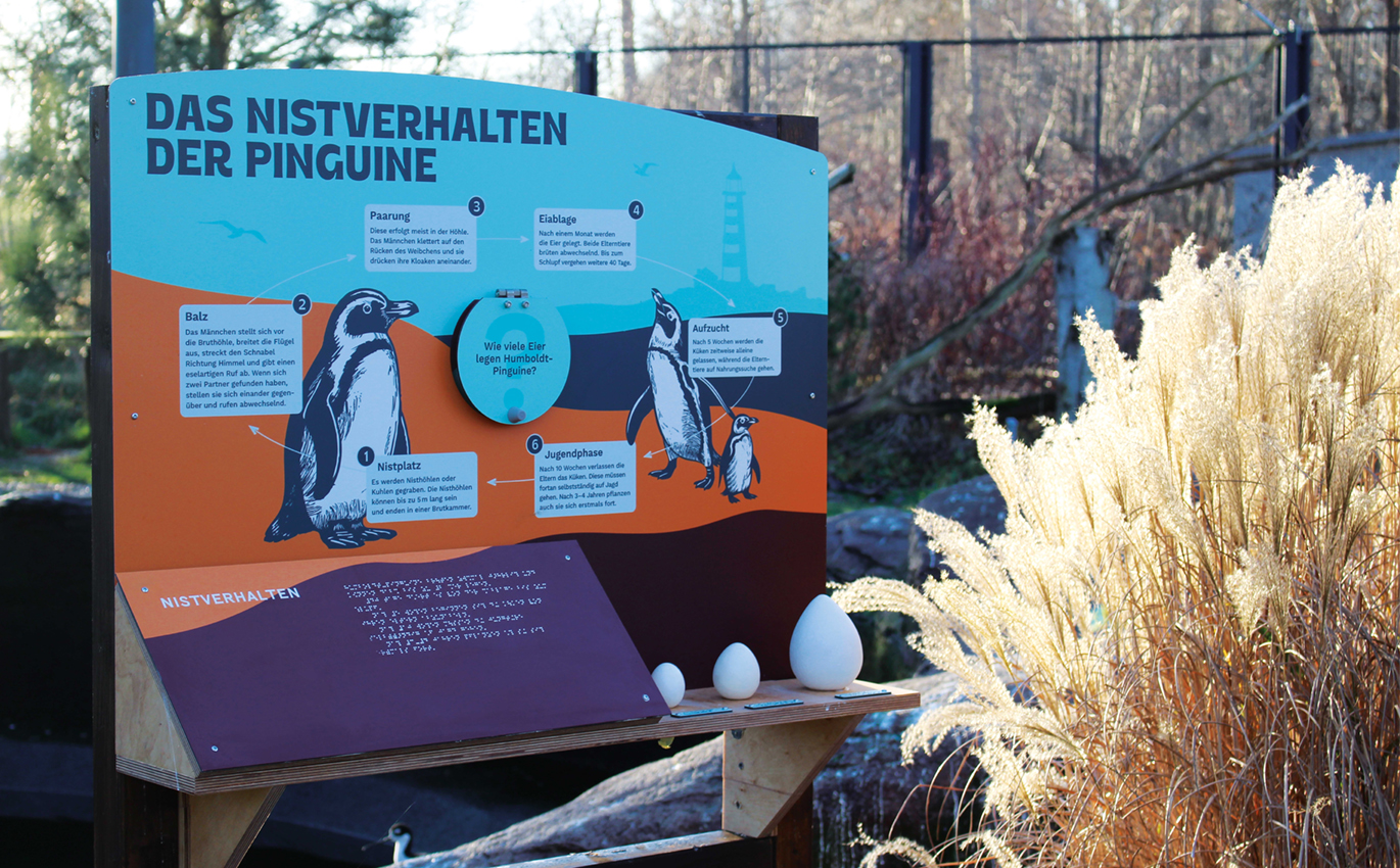 Lernstation "Das Nistverhalten der Pinguine".