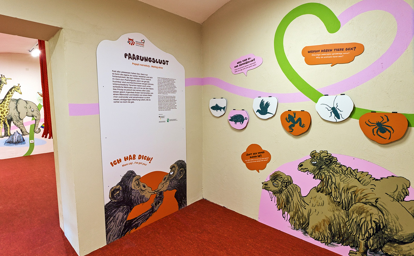 Foto der Informationstafel "Paarungslust". Hier ist wieder die Illustration der zwei sich küssenden Affen zu sehen. Rechts daneben an der Wand ist die Illustration von zwei Kamelen die sich paaren.