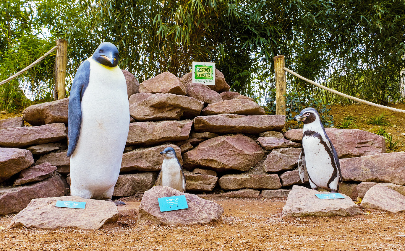 Foto der drei Pinguinskulpturen vor einer niedrigen Steinmauer mit dem Logo des Zoo Leipzigs drauf.