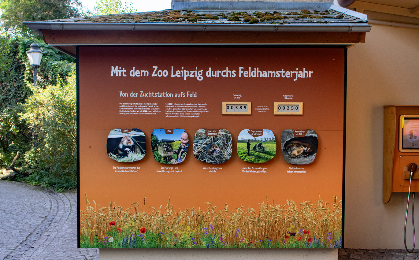 Bild der Informationswand zur Feldhamsterzucht des Zoo Leipzigs. Die Überschrift lautet "Mit dem Zoo Leipzig durchs Feldhamsterhahr".