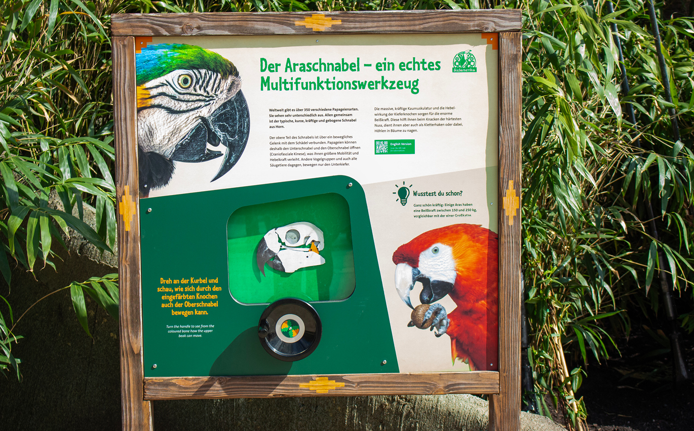 A photograph of a educational exhibit featuring the macaw’s beak as a multifunctional tool. Set into the centre of the panel is a model of the beak, which can be opened and closed using the crank located underneath.