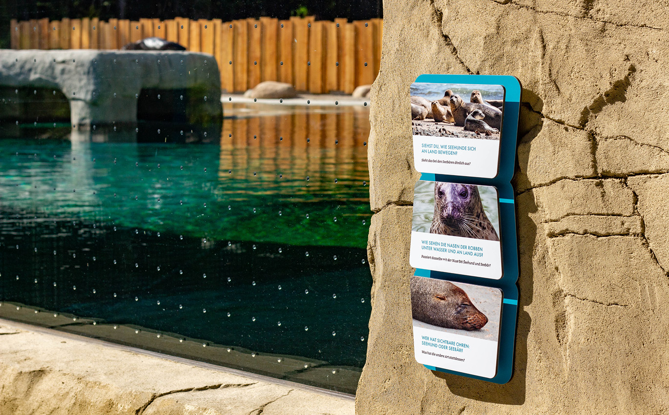 Bild der Gehegebeschilderung vor einem Tauchbecken. Drei Robben werden vorgestellt.