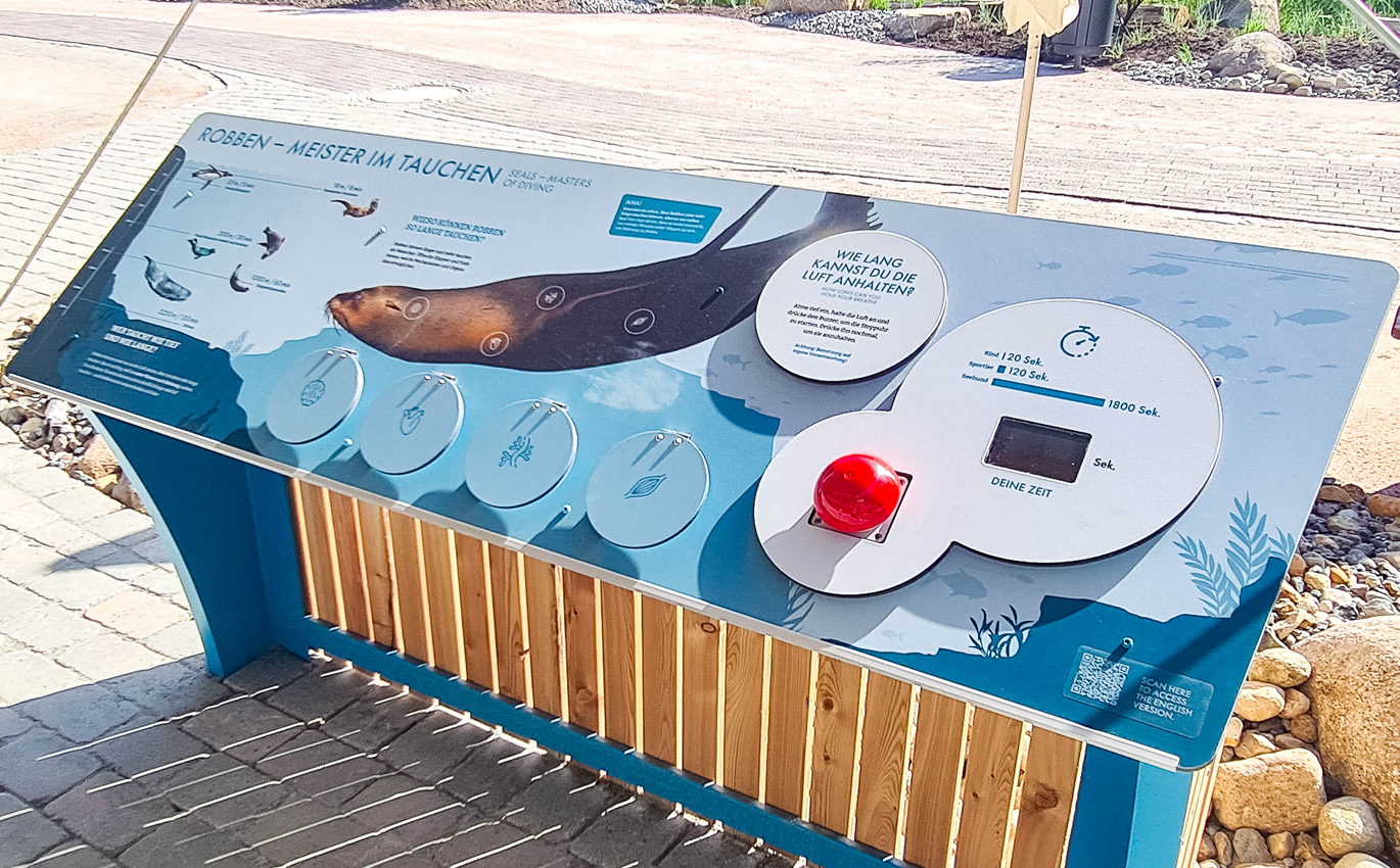 Realbild einer interaktiven Lernstation mit rotem Buzzer in der Mitte. Die Farbgebung ist blau gehalten und es wird über verschiedene Themen zu Robben aufgeklärt.