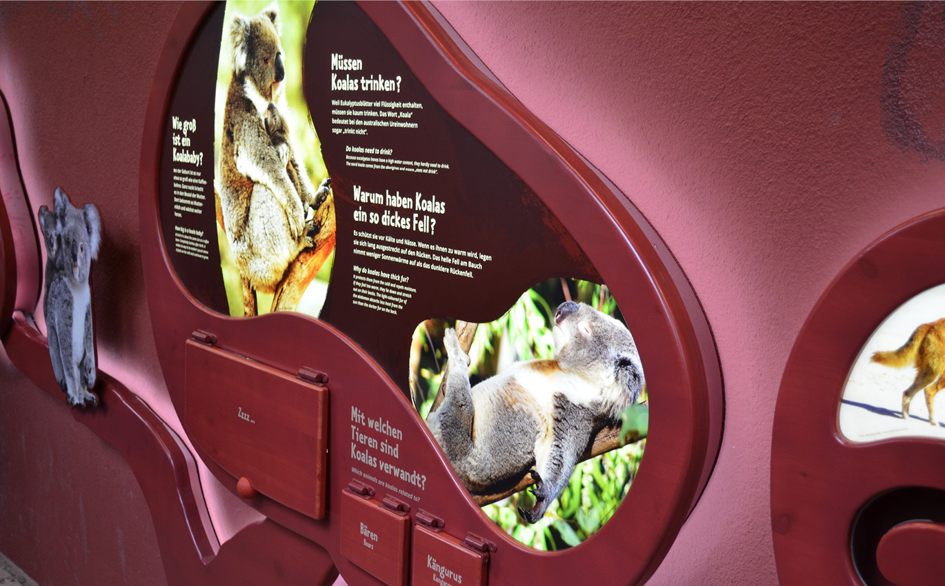 gestaltete Infografik über Koalas im Aborigine-Stil 